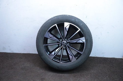 2024 trophy alloy - 19",