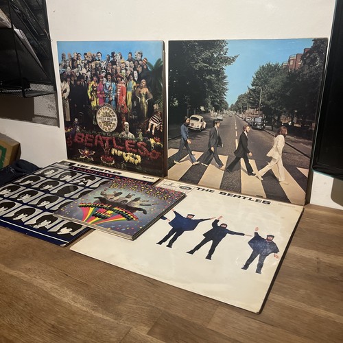 The beatles vinyl record - the,