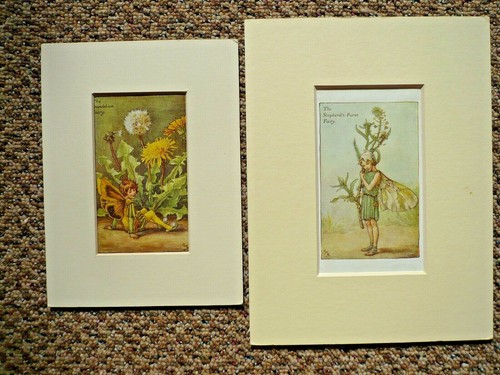 Antique flower fairy prints - antique,