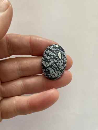 Petrified palm wood cabachon - palm,