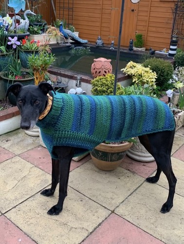 Hand crochet greyhound - greyhound, coat