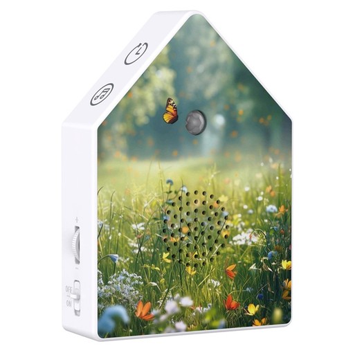 Singing bird box - singing, white