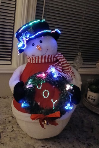 Kirkland fiber optic - fiber, snowman