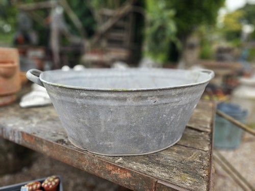 Vintage large english - large,