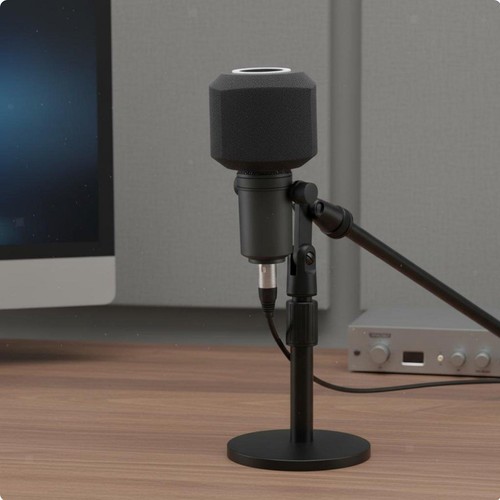 Studio microphone isolation - studio,