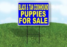 Black And Tan Coonhound