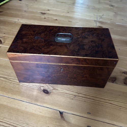 Early 19th century burr yew - 19th,