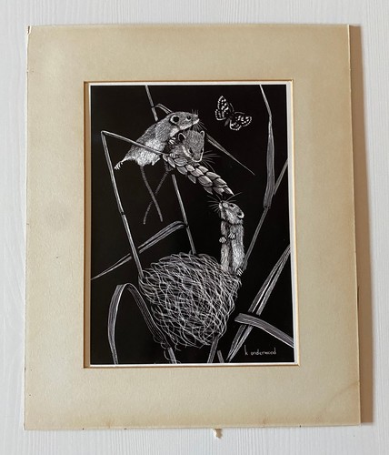 Original doormice print k - original,