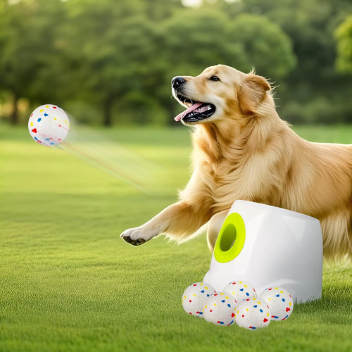 Automatic dog ball launcher - automatic,