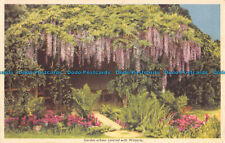 R054833 Garden Arbour Covered with Wistaria