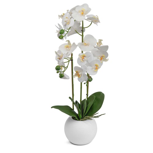 Artificial orchid flower - artificial,