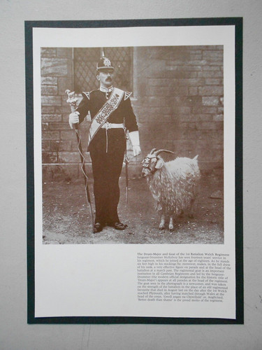 Vintage military print - vintage, drum
