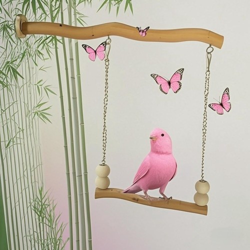 Chewable pet bird - chewable, training