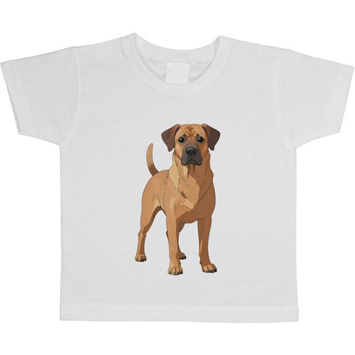 Rhodesian ridgeback dog - 'rhodesian,