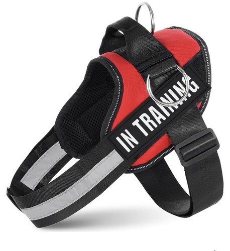Pull dog harness in - no,