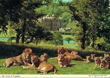 The Lions of Longleat 