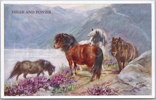 Highland ponies artistic - ponies,