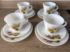 JAJ Pyrex Autumn Glory Cup &
