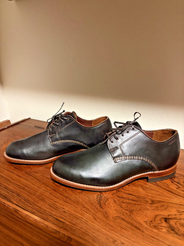 Wolverine 1000 mile - wolverine,
