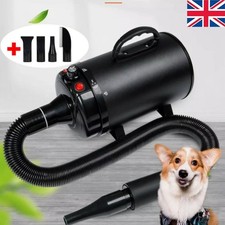 4500W Dog Hair Dryer Pet