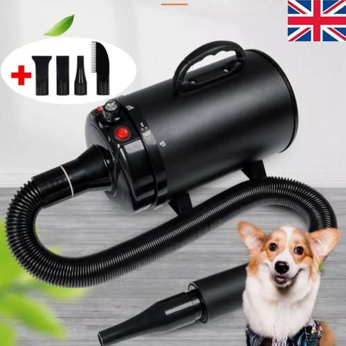 4500w dog hair dryer - 4500w, pet