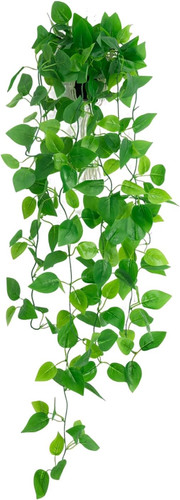 Freyalife fake hanging - freyalife,