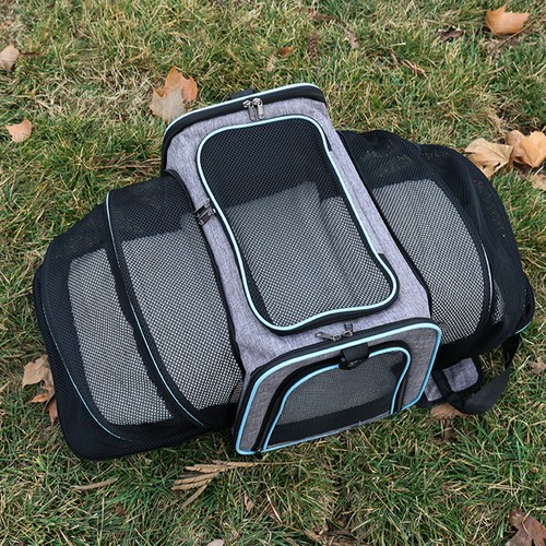 Pet dog cat - pet, carrier