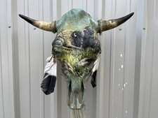 STEER SKULL Painted 21 Inch