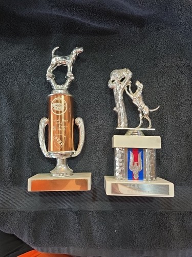 Vintage trophy 70s - trophy, pointer
