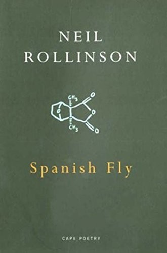 Spanish fly - fly, (cape