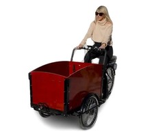 Bakfiets family cargo bike