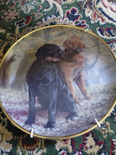 Decorative labrador dog - decorative, plates
