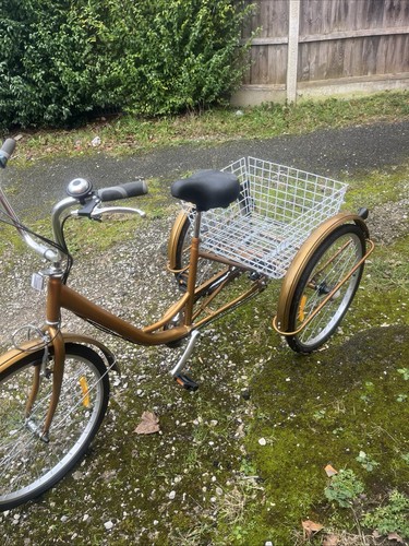 Tricycle bicycle - tricycle,
