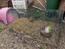 Omlet Eglu Classic rabbit or chicken coop and run
