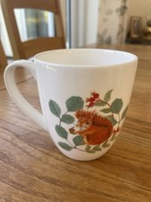 Red Squirrel Hardwicke Fine