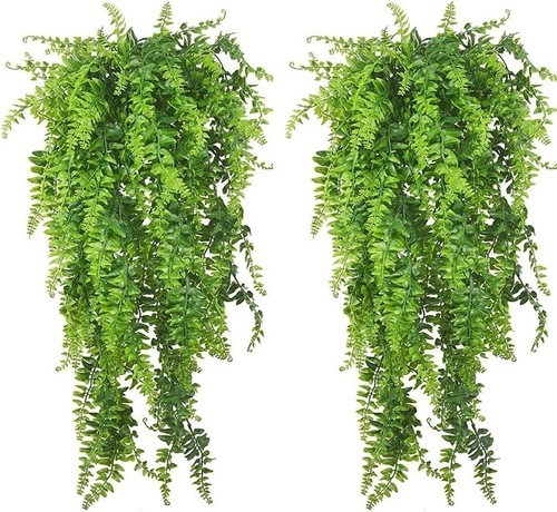 Pack reptile hanging plants - reptile,