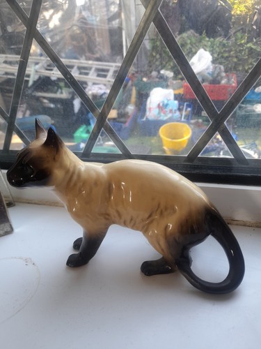 Fabulous vintage siamese - siamese, beige