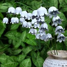 Hand-crafted Metal Lily Of The Valley