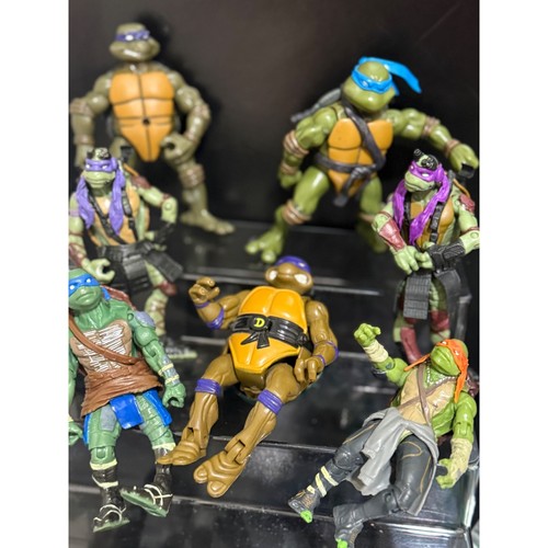 Teenage mutant ninja turtles - teenage,