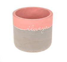 Mini Cement Succulent Plant