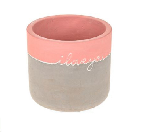 Mini cement succulent plant - cement,