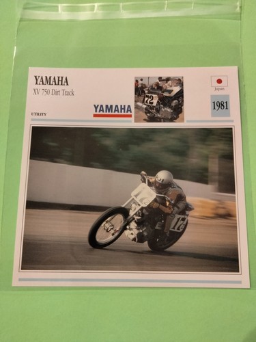 Yamaha 750 dirt - yamaha, track