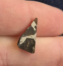 SEYMCHAN Pallasite PMG