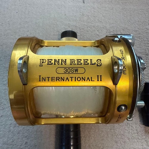 Penn international 30sw - penn,