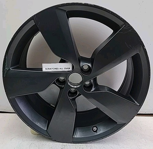 Genuine jaguar pace - jaguar, 19"