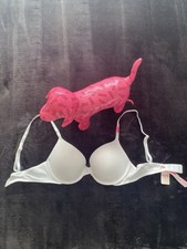 Victoria's Secret Bra + Large Pink Dog