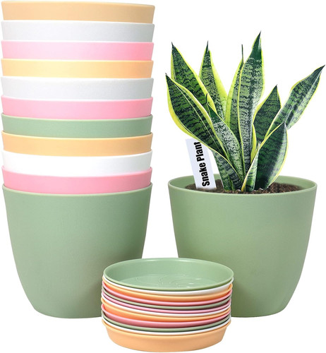 Inch plant pots 12 pack - inch,