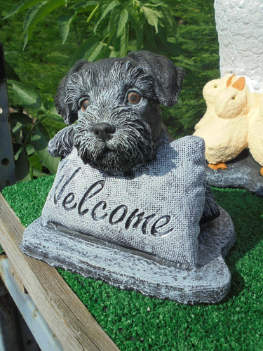 Schnauzer welcome dog - , stone