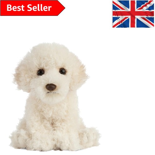 Fluffy labradoodle puppy - cm,