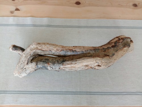 Driftwood twist for - , ornament